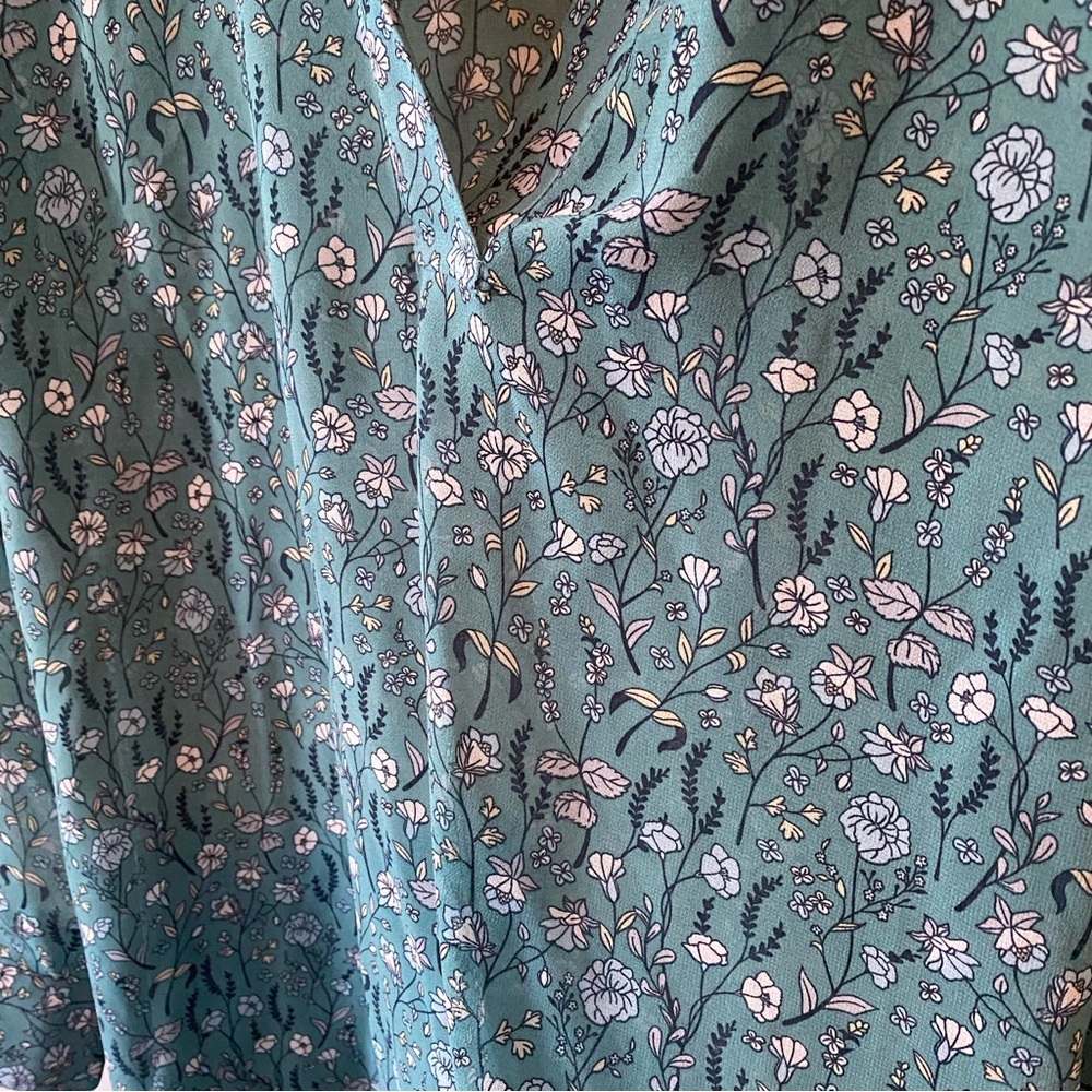 Cabi Chase Field of Flowers Semi Sheer Blouse - Picture 4 of 8